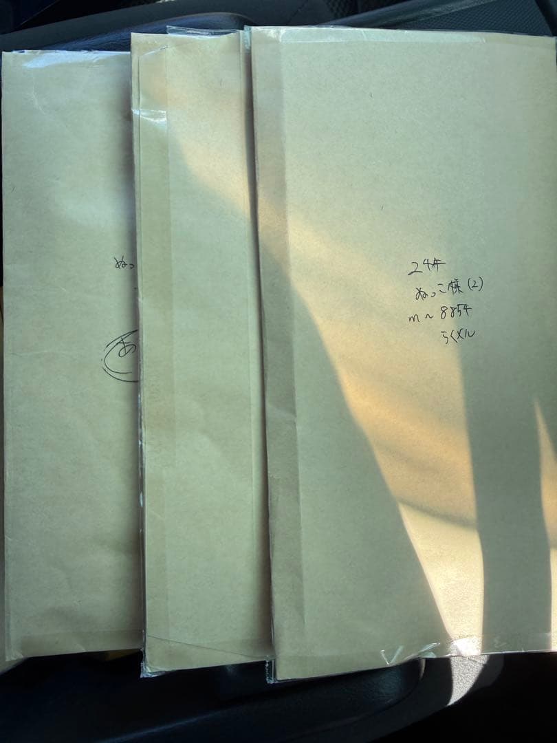 ぬっこ3枚再出品 No.309)あったかにゅうめん/12個入】簡単本格的手延べそうめん